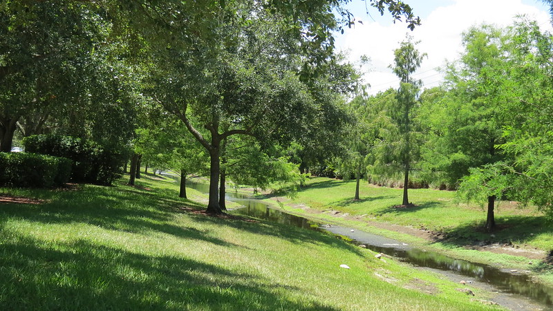 Coral Tree Greenway