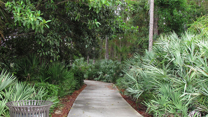 Pine Creek Greenway