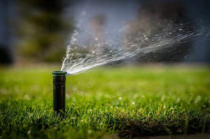 Tree Care Irrigation