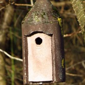 nesting box